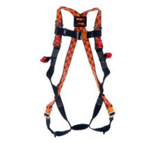 Arnes CR244